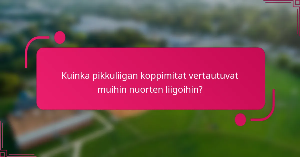 Kuinka pikkuliigan koppimitat vertautuvat muihin nuorten liigoihin?
